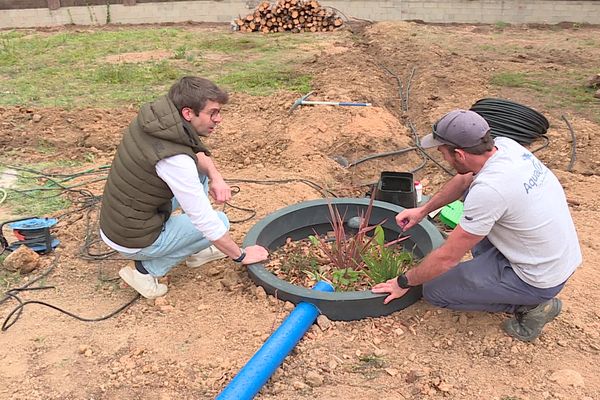 Grâce à la phytoréutilisation, les eaux usées viennent irriguer le jardin.