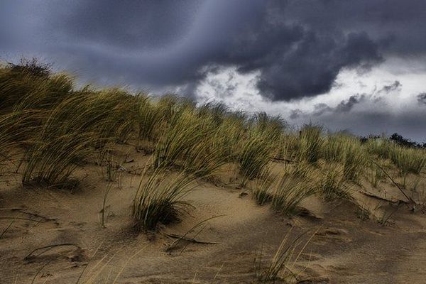 Le vent dans les dunes