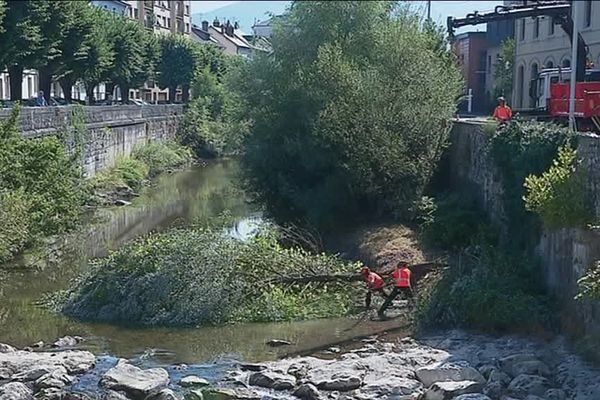 Les travaux consistent à couper les plus gros arbres dans la rivière