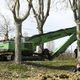 A Vendine, Thomas Brail, militant, s'est accroché en haut d'un arbre pour dénoncer leur abattage sur le tracé de l'A69.