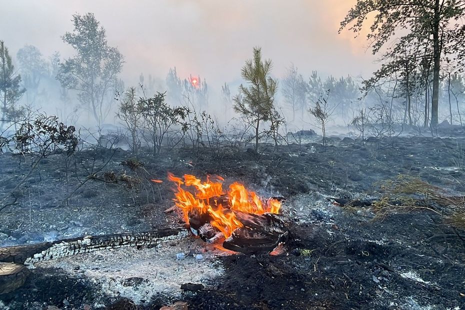 access to woods and forests is now completely prohibited