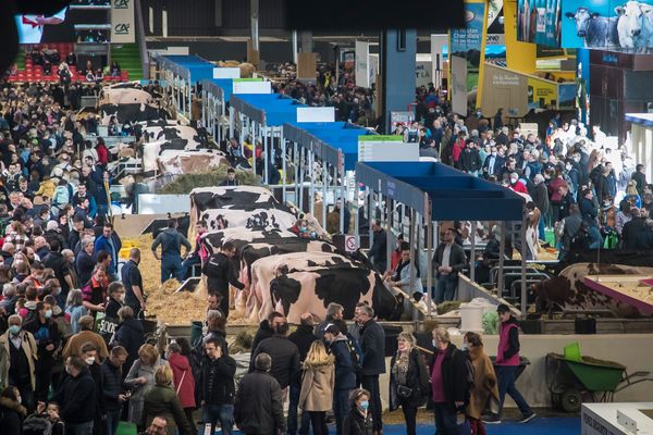 La foule au salon de l'agriculture en 2022