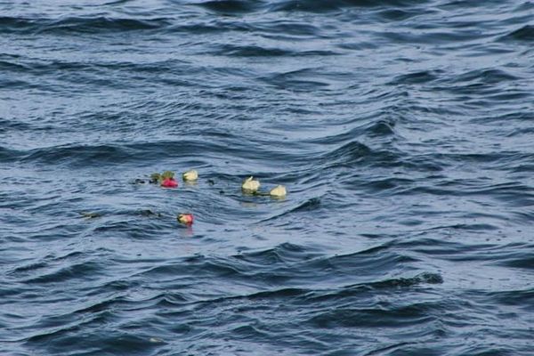 Le 14 janvier, trois marins pêcheurs sont morts en mer au large des côtes du Calvados.