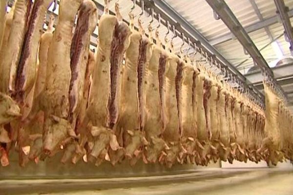 Le porc à nouveau à l'abattoir de Ruffec