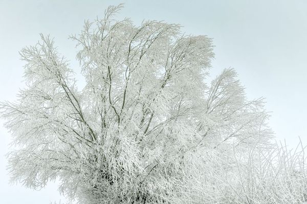 Meteo France La Neige De Retour En Auvergne