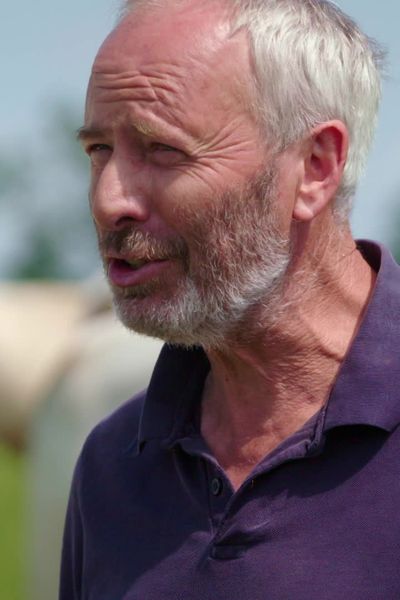 Laurent Billoux, un éleveur amoureux des vaches charolaises.