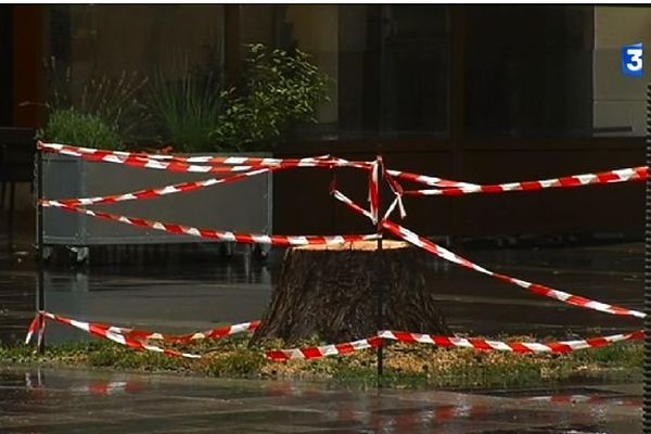 La foudre est tombé sur cet arbre, le facteur passait à proximité ce matin.