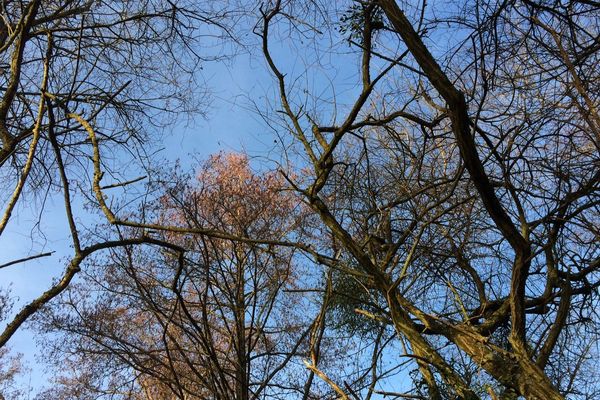 La semaine débute dans la douceur