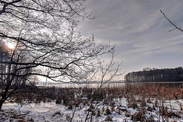 La neige fera son retour ce dimanche et blanchira les sols dans l'intérieur des terres.