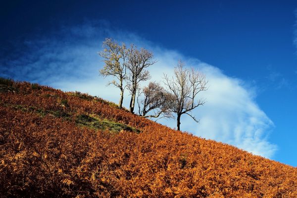 En Auvergne, l’automne a posé sur les paysages ses couleurs enchanteresses.