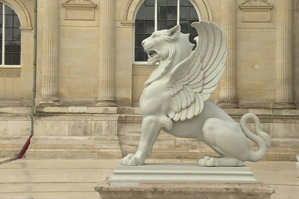 Les griffons du bassin du musée de Picardie ont été façonnés au XIXème siècle sous Napoléon III. 