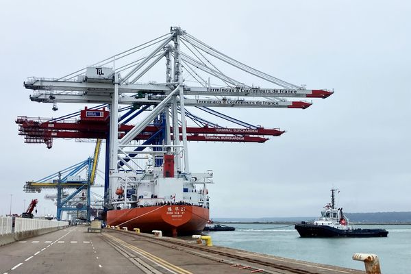 Au Havre, le cargo transportant les deux "giga-portiques" de 100 mètres de haut est amarré après un mois et demi de navigation depuis Shanghaï.