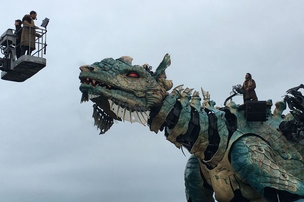 Avec 42 000 visiteurs en 2023 contre 38 000 en 2022, l’engouement pour le dragon de Calais ne se dément pas.