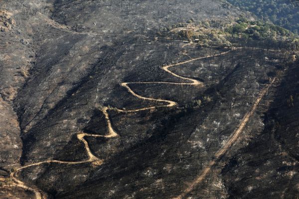 Le Luc dans le Var le 20 août 2021. Ce feu aura coûté la vie à deux personnes, brûlé plus de 7.000 hectares de forêt et entraîné l'évacuation de milliers de personnes.