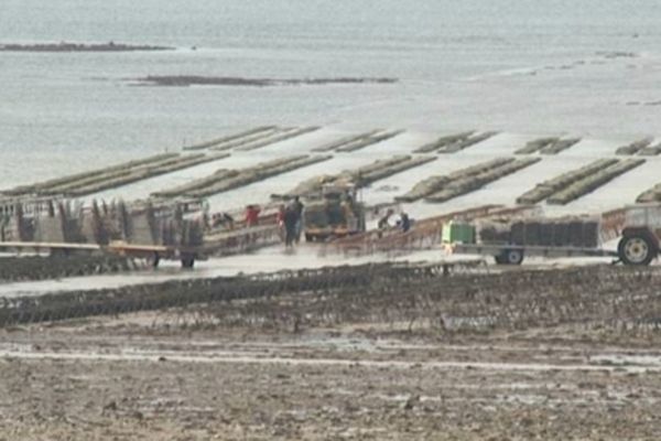 Les parcs à huîtres de la Manche ont souffert du passage de la tempête Ciaran le 1ᵉʳ novembre 2023 (photo d'illustration).