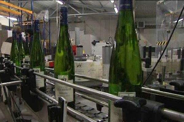 Le plus grand domaine viticole de la région exporte les deux tiers de sa production