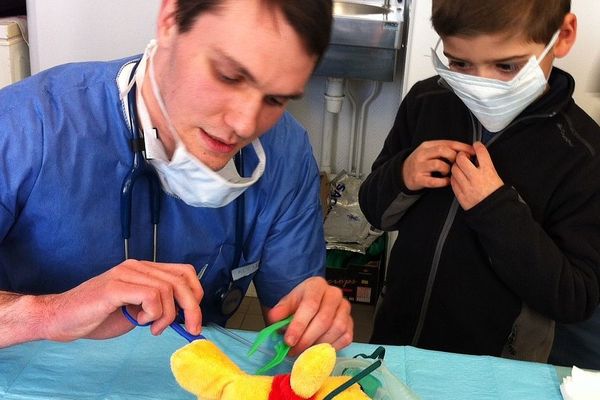 Les étudiants en médecine font découvrir le monde de la santé aux enfants, en devenant "nounoursologues"