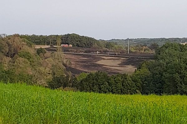 Un feu a débuté sur la commune de Villemur-sur-Tarn.