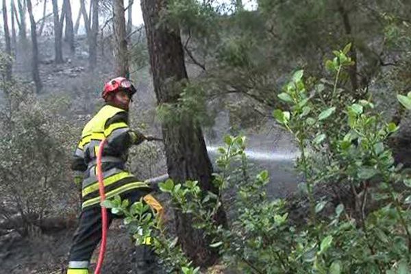 une centaine de Marins Pompiers ont été mobilisés pour éteindre l'incendie à Allauch