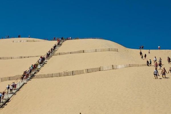 Des touristes grimpent sur la dune du Pilat (Gironde), le 14 août 2014. 