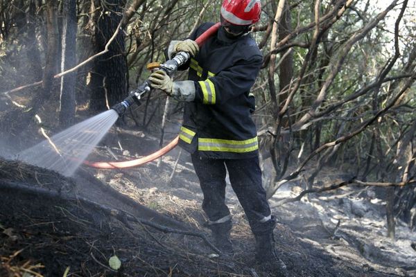 Un incendie s'est déclaré sur la commune de Sorbo-Ocagnano, en Haute-Corse.