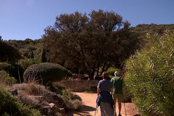 Étendu sur 7 hectares, le Parc de Saleccia est un site d’exception qui met en valeur la végétation corse et méditerranéenne.