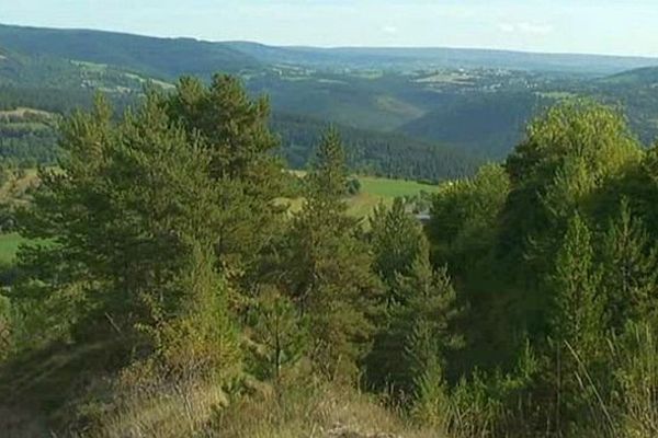 Lozère - un département forestier - 2014.