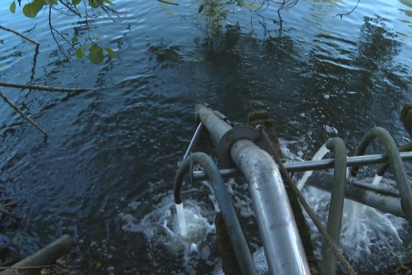 La Creuse est particulièrement basse en ce mois d'octobre 2023, obligeant la cartonnerie Jean FG, à Bonnat, à rallonger ses tuyaux pour puiser en profondeur l'eau dont elle a massivement besoin pour sa production.