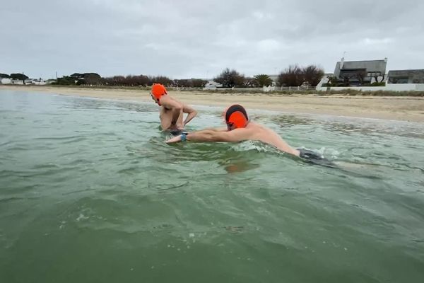 Dans le Morbihan, séance de nage en eau froide pour les Cormorans givrés