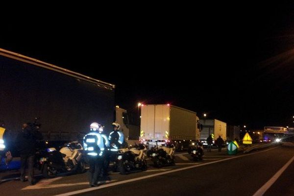 Les transporteurs routiers lundi 2 décembre, sur l'A25. Ils manifestent pour la suppression définitive de l'écotaxe