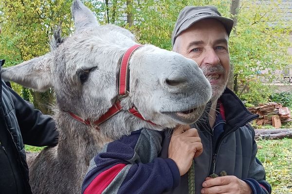 André profite d'un moment câlin avec l'un des ânes de l'association “Aux Âneries d’Uffholtz” dans le Haut-Rhin.