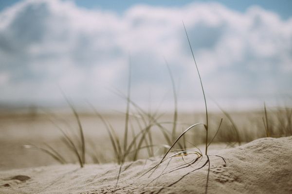 Le sable est une ressource surconsommée et surtout épuisable