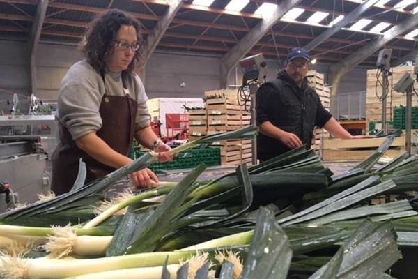 Somme Avec Leur Cooperative Ces Agriculteurs Veulent Produire Des Legumes A Grande Echelle