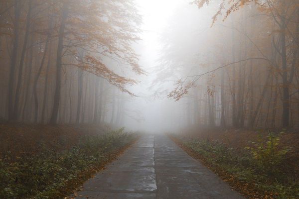 Pas d’arrière-saison cette année, le décor est planté