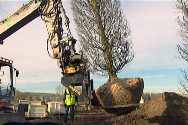 Un charme de 20 ans planté sur le site du futur espace commercial