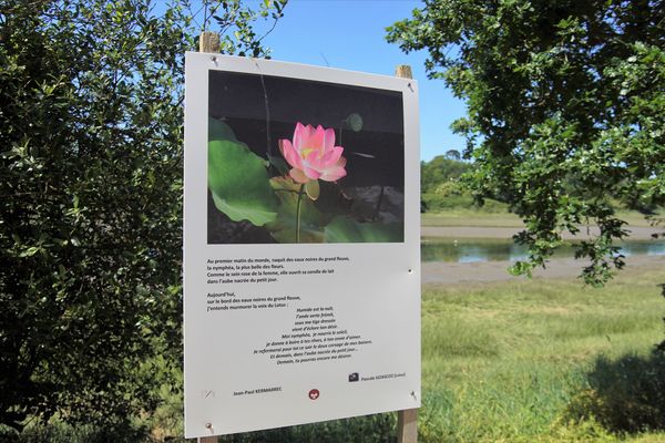 Auteurs et photographes invitent les promeneurs à une balade poétique, le long de la ria