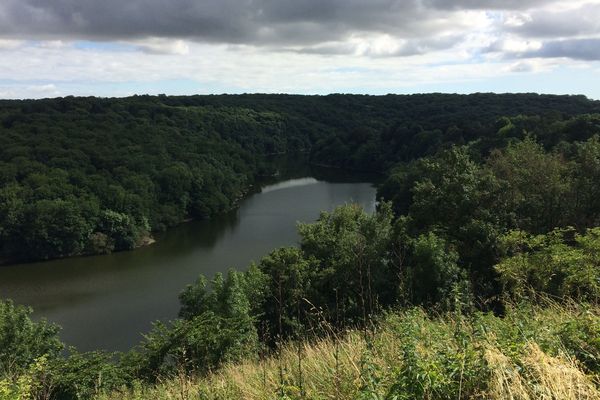 La forêt de Mervent dans le Sud-Vendée sous un ciel partagé entre nuages et éclaircies.