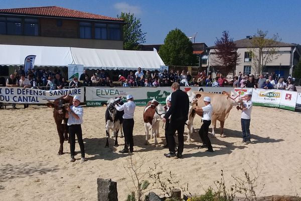 Le concours de meneurs, dimanche 6 mai 2018.