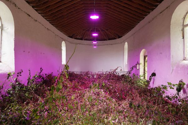 "La chapelle de ronces":  une oeuvre de l’artiste Erik Samakh.