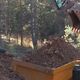 La société Umicore a commencé la dépollution d'anciens sites miniers dans les Cévennes.