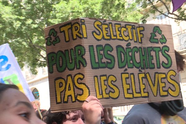 A Marseille, les opposants à la réforme du "choc des savoirs" ont manifesté samedi 25 mai contre l'instauration de groupes de niveau au collège.