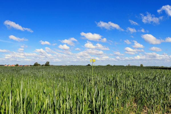 Le printemps est bien là !