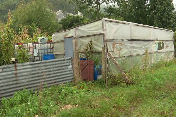 Dans la zone industrialo-portuaire, les jardins potagers de Canteleu près de Rouensont cultivés depuis une quarantaine d'années