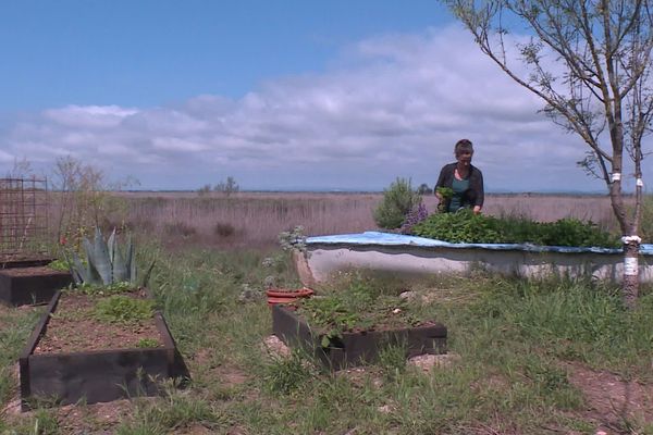 Le confinement au bord de l'Etang de l"Or oblige ses habitant à plus d'autonomie et de solidarité