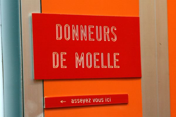 Le registre français des donneurs de moelle osseuse comprend 258.000 profils.