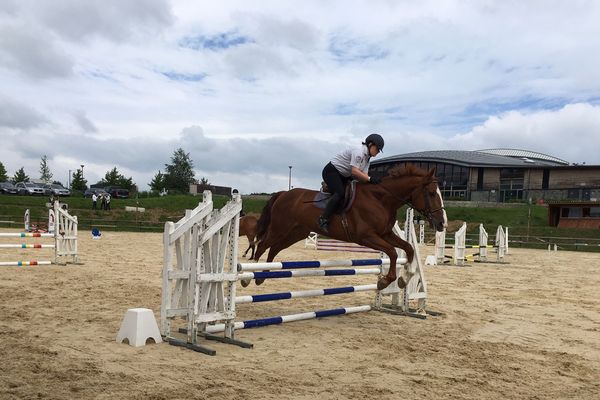 Des policiers ont partagé pendant quatre jours leur passion de l'équitation au lycée agricole d’Yssingeaux (Haute-Loire). La fédération sportive de la police nationale a voulu apporter un regard original sur le métier de policier en brigade équestre. 