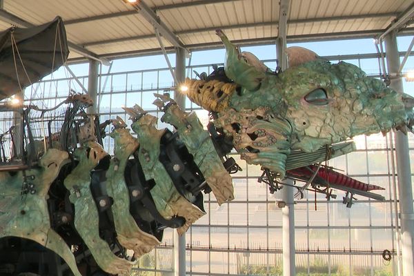 Le Dragon de Calais hiberne sous sa nef de verre