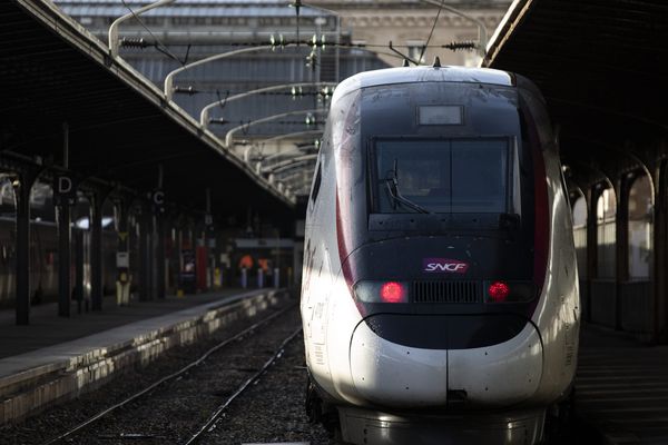 Ce vendredi 1 TGV sur 2 circuleront en Occitanie - 20 décembre 2019 