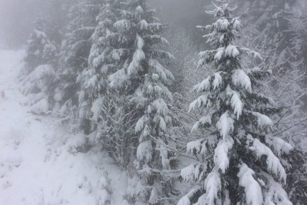 Au printemps 2018, le secteur de Gérardmer (Vosges), comme ici à la Mauselaine, avait bénéficié d'une belle couche de neige.