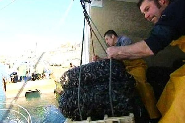 Retour de la pêche aux moules à Barfleur, 24 juin 2013